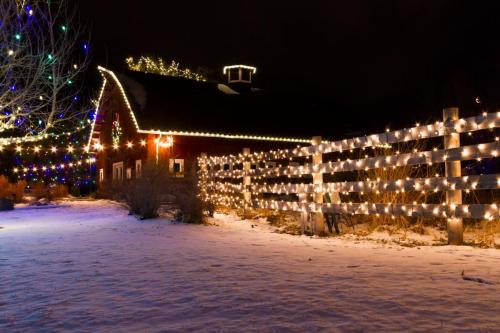 Elk Grove Residential Christmas lighting installation in Sacramento, CA