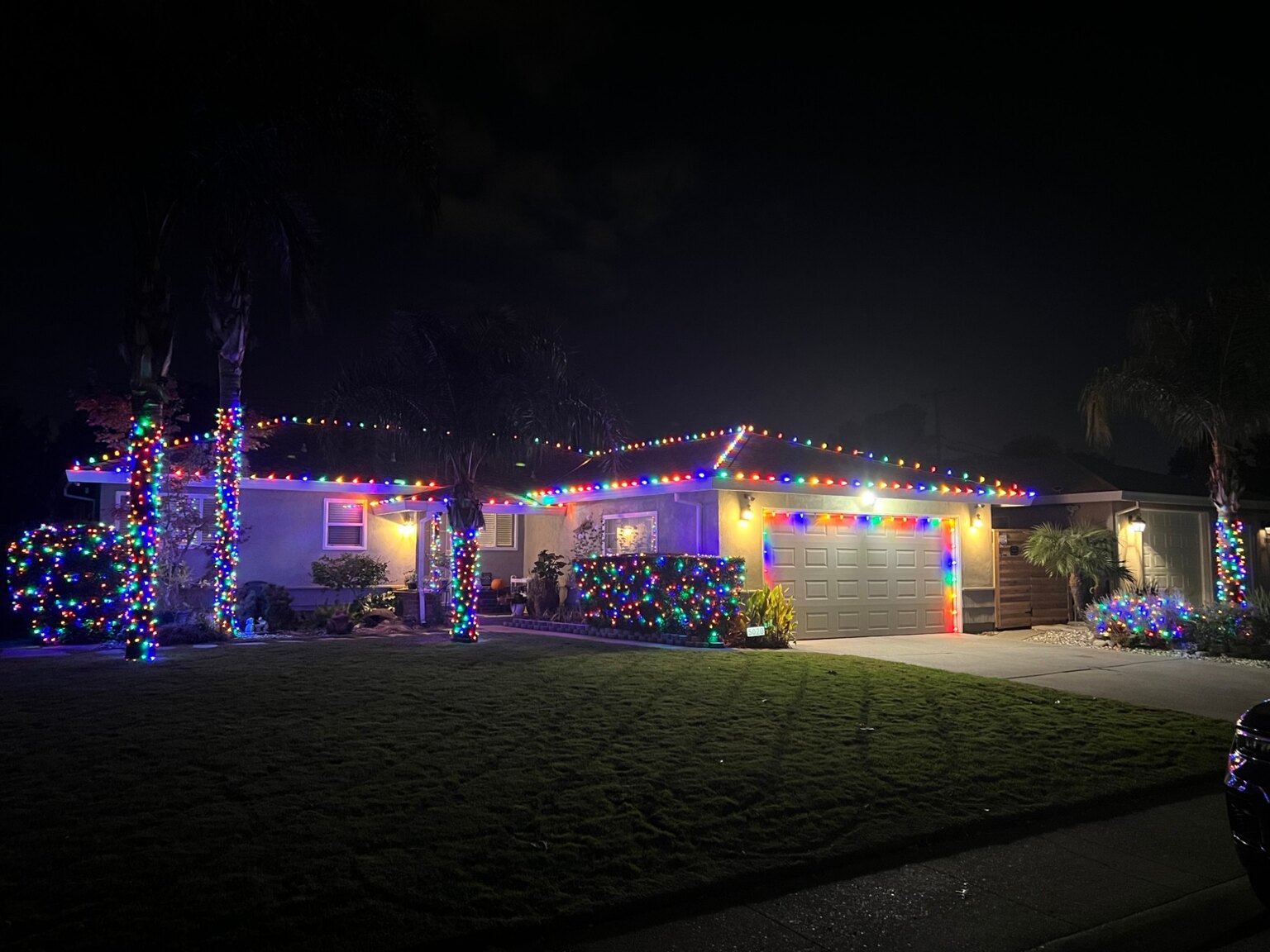 Christmas lights in Auburn, CA: palms multicolor