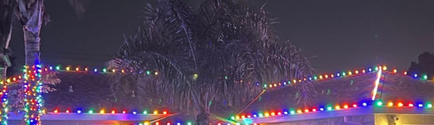 Christmas lights in El Dorado Hills, CA: multicolor c9 eave run palm wrap